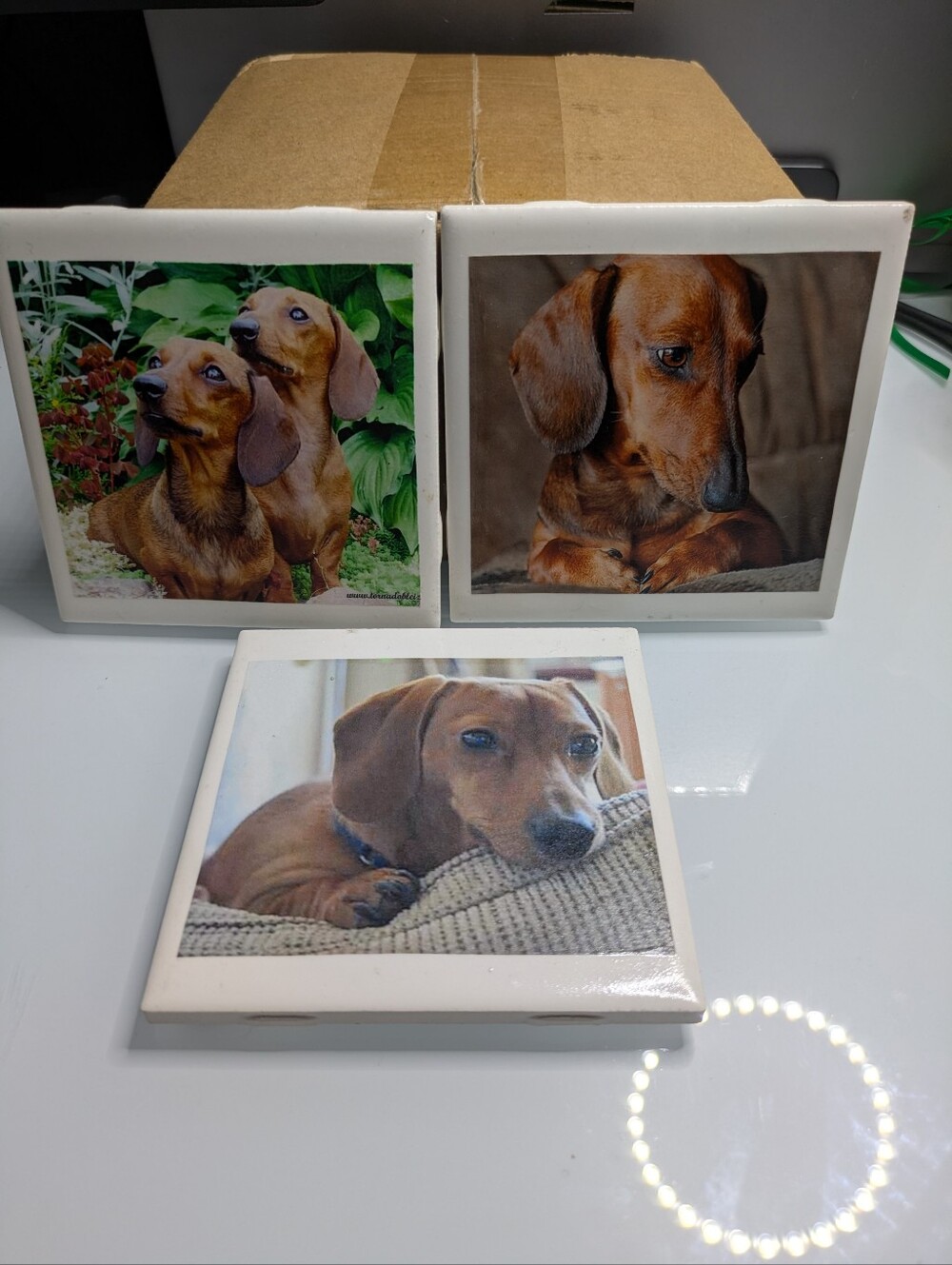 Dachshund Wiener Dog Ceramic Photo Coasters Tile Set of 3